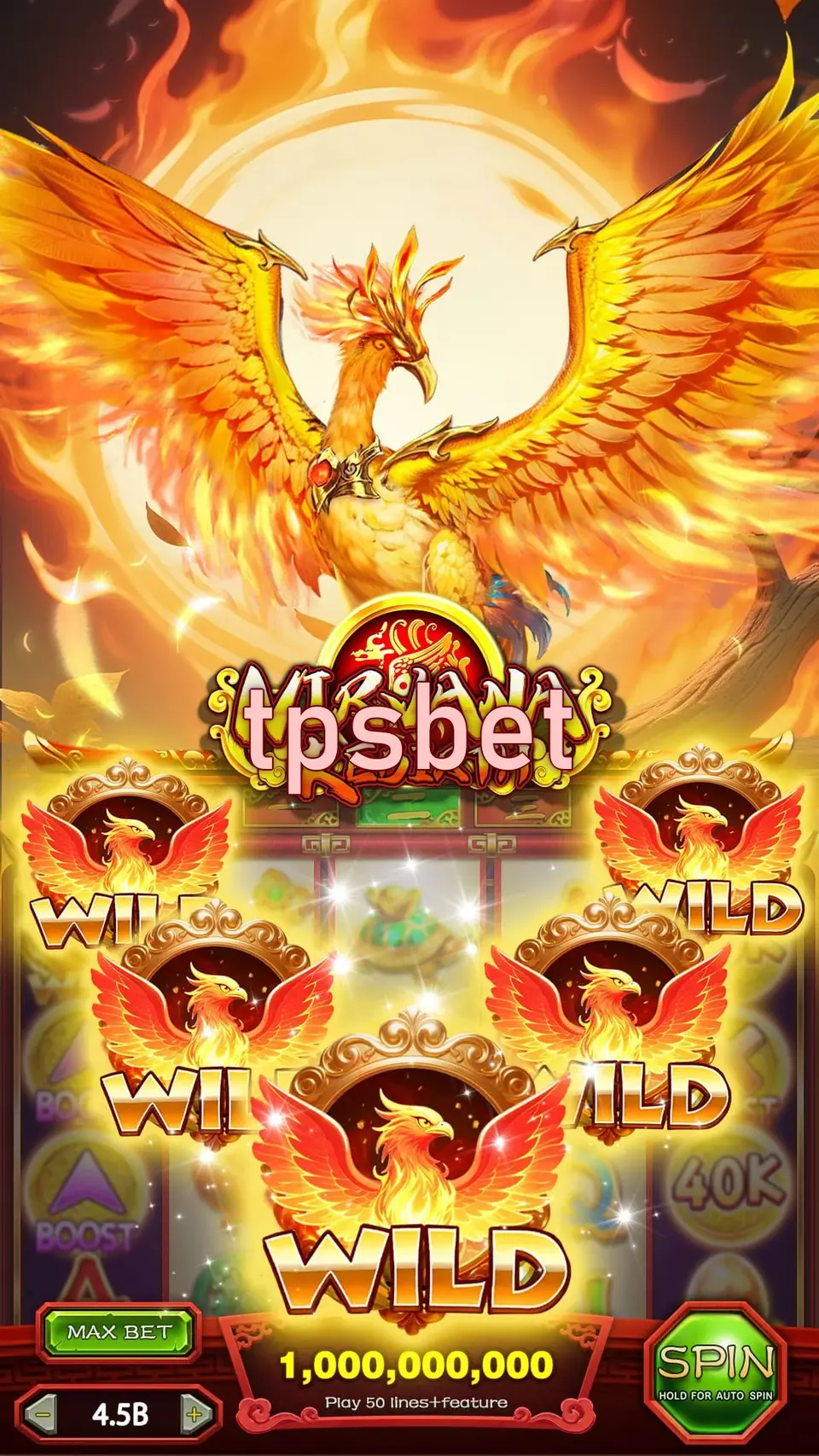 tpsbet Capturas de tela - APK Oficial